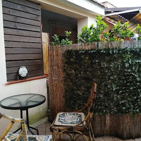 For Ever פיומיצ'ינו